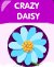 crazy daisy