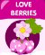 love berries